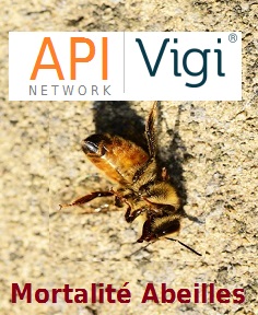 Reseau ApiVigi® - mortalité des abeilles