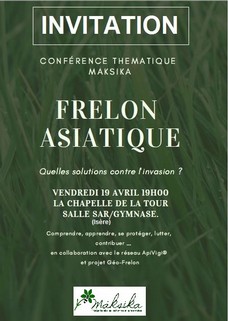 Le Frelon asiatique, s'invite à la conférence de la Chapelle de la Tour