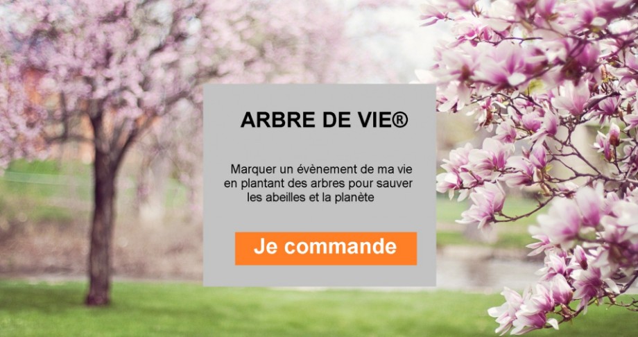 Marquer un évènement de ma vie en plantant un arbre pour sauver les abeilles et la nature