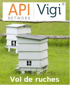 réseau Apivigi® vol de ruches