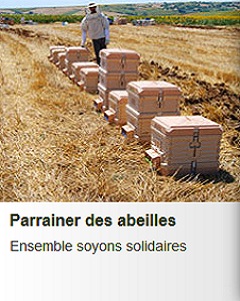 comment parrainer des abeilles et des ruches pédagogiques connectées