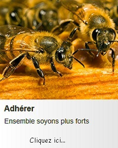 association de protection des abeilles - Adhérer à l'association Maksika
