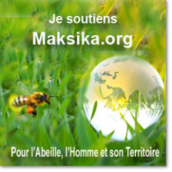 disparition des abeilles- je soutien maksika