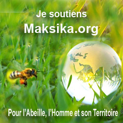 Je soutiens Maksika bannière carrée