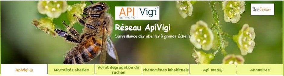 Je soutiens Maksika et les actions d'ApiVigi®