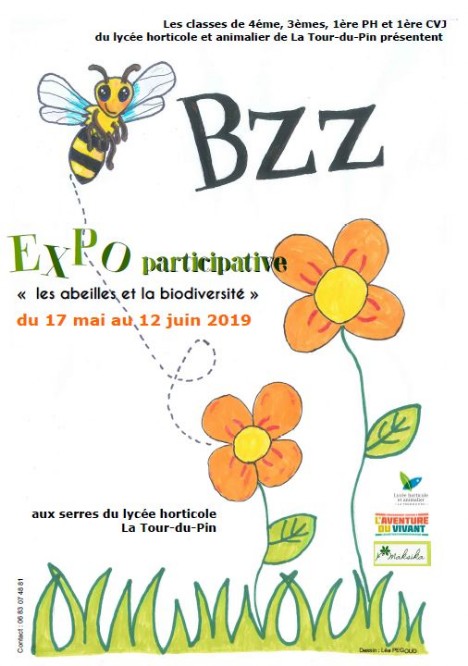 Exposition abeilles