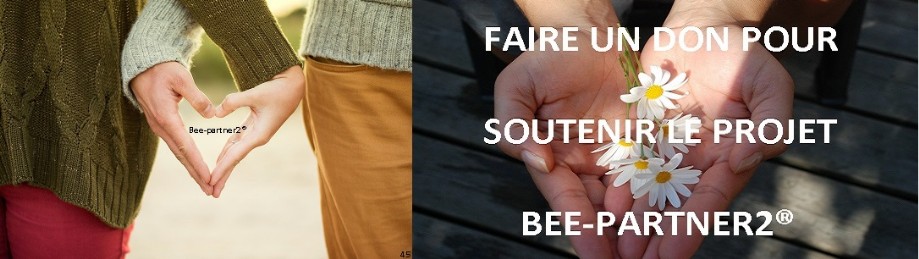 Faire un don pour le projet bee-partner2®