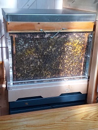 surface vitrée de la ruche pédagogique connectée® maksika