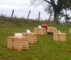 formation apiculture sur ruche pédagogique connectee formation apiculture sur ruche pédagogique connectee